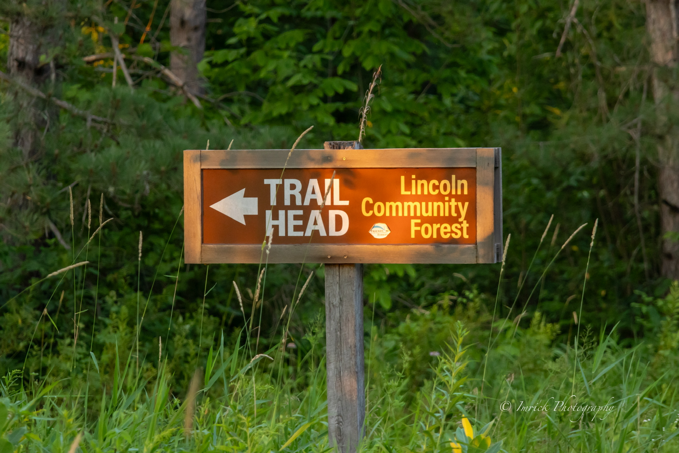 Lincoln Community Forest Trailhead Sign